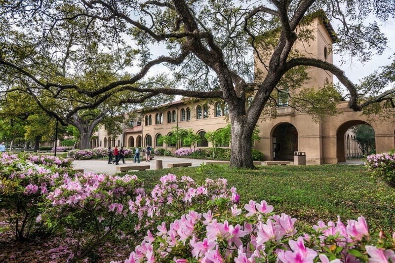 Louisiana State University