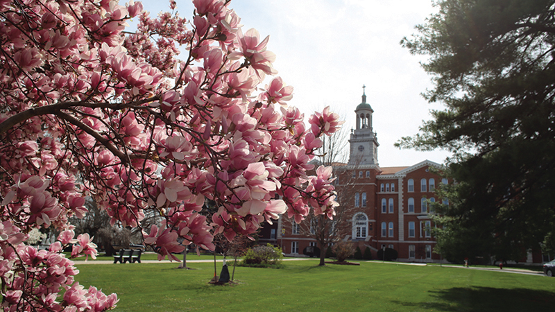 University of Saint Mary