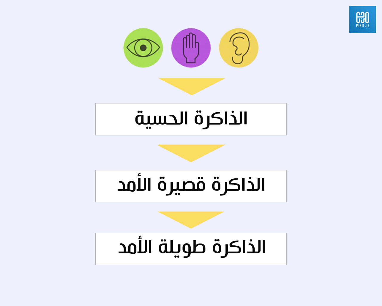 صورة تدل على التعلم والذاكرة