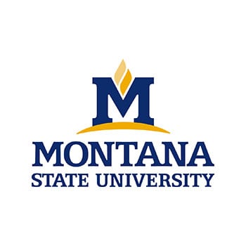 Logo for Montana State University